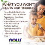 NOW Natural Foods, Organic Non-Fat Dry Milk Powder with Protein and Calcium, Product of the USA, 12-Ounce (Packaging May Vary) (Pack of 2) - Image 5